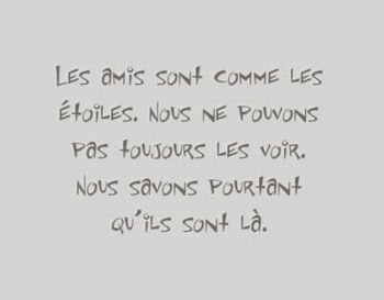 les ami(e)s